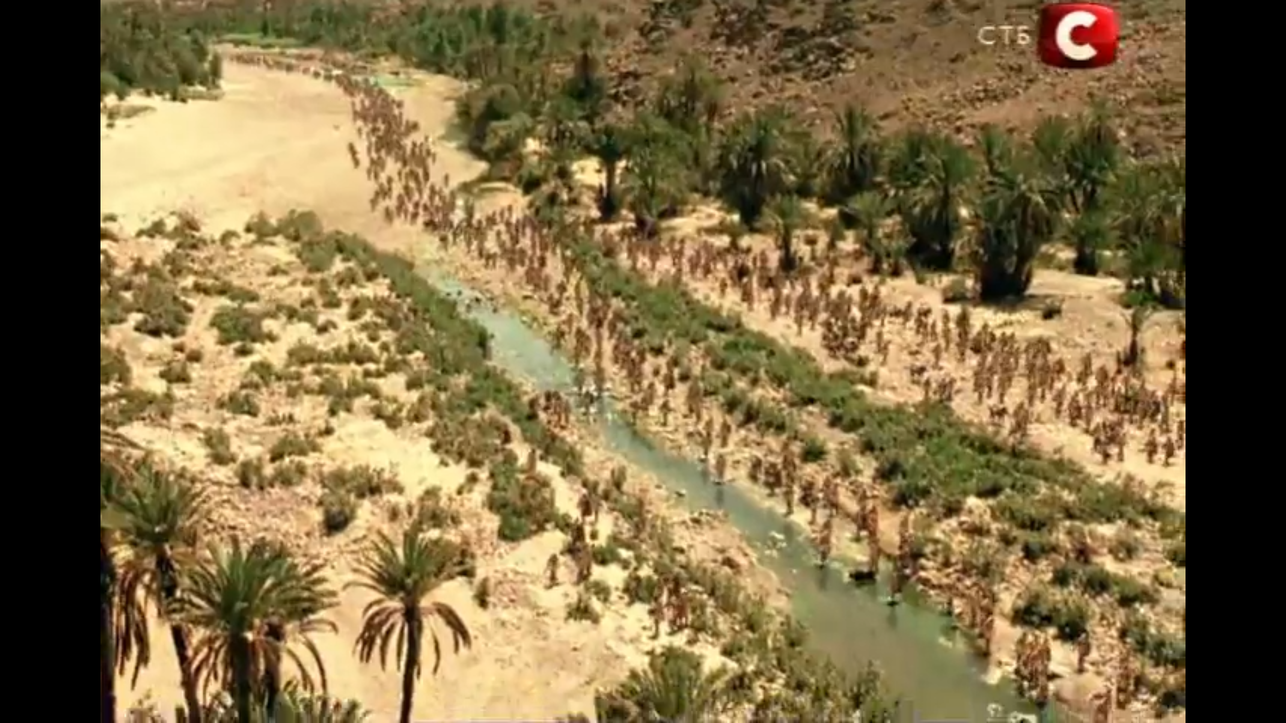 Стародавні єгиптяни