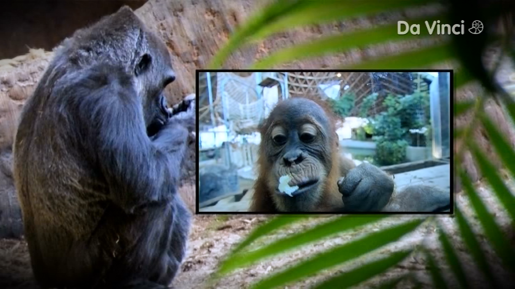 Питання до науки