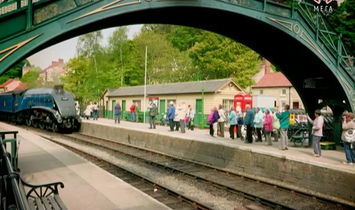 Мегаспоруди