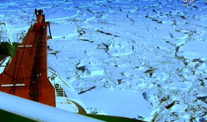 Мегаспоруди