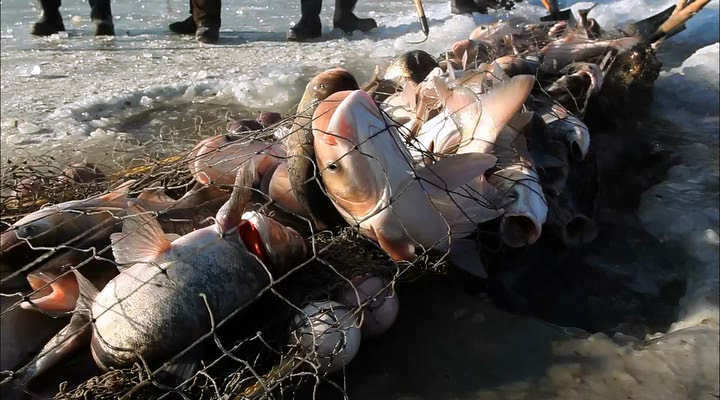 Китай на кінчику язика