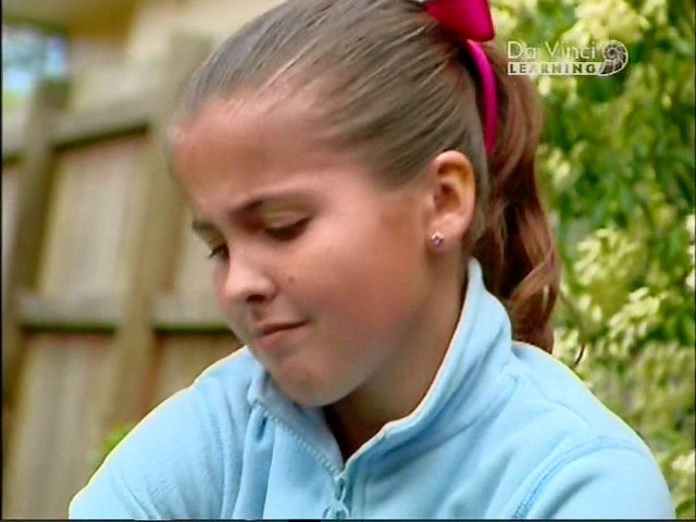 Дворова Наука