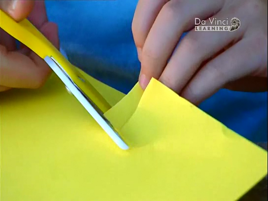 Дворова Наука