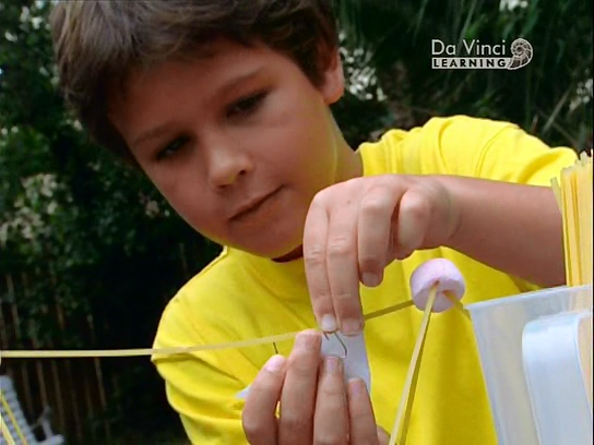 Дворова Наука