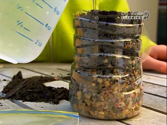 Дворова Наука