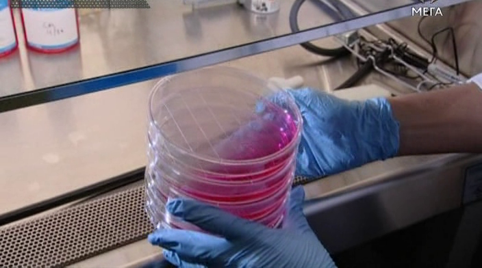 БіБіСі: Погляд у майбутнє