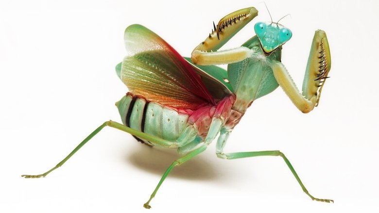 Дотик природи