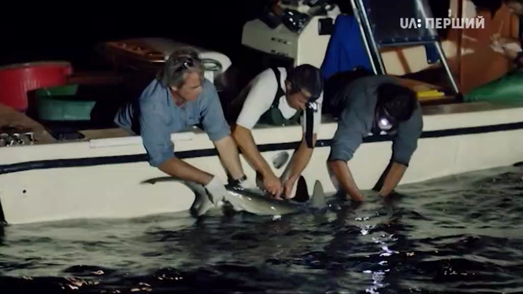 1000 днів для планети