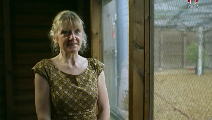 Відчувати як тварина