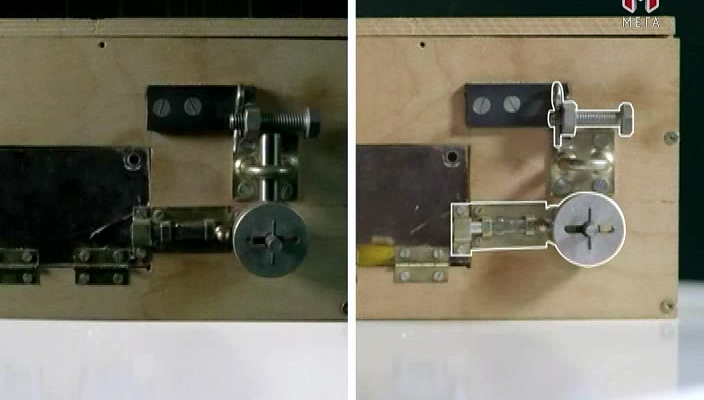 Відчувати як тварина