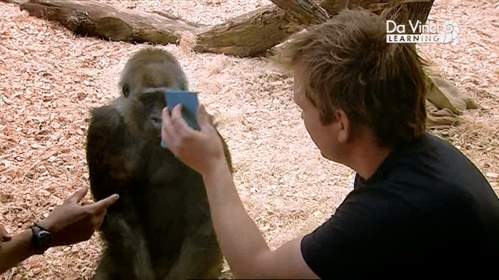 Джиммі Догерті у  саду Дарвіна / Сад Дарвіна