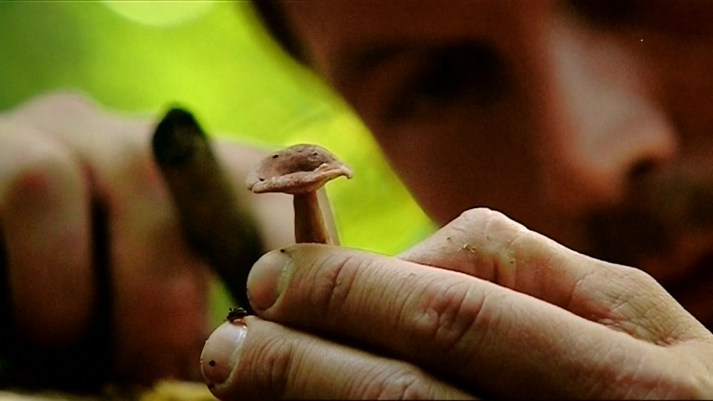 Джиммі Догерті у  саду Дарвіна / Сад Дарвіна