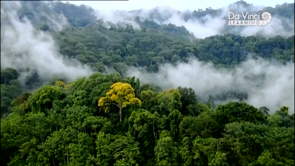 Генетичний код