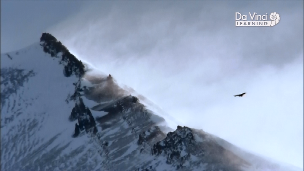 Генетичний код