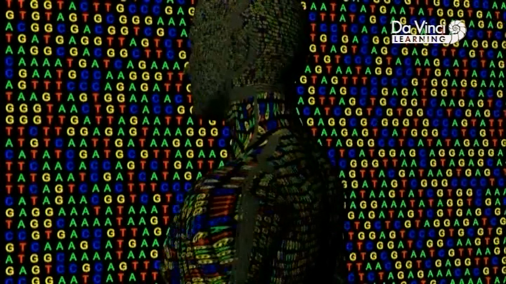 Генетичний код