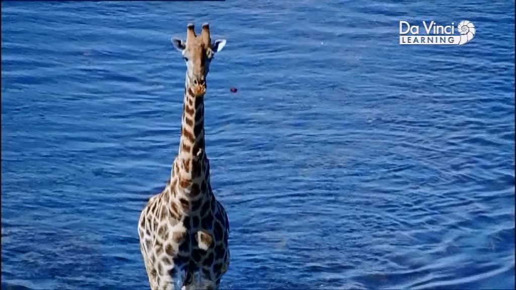 Генетичний код