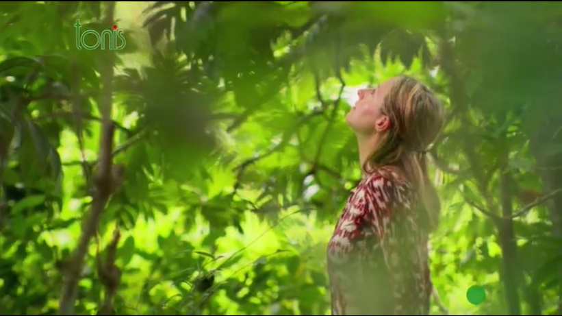 Наші витоки