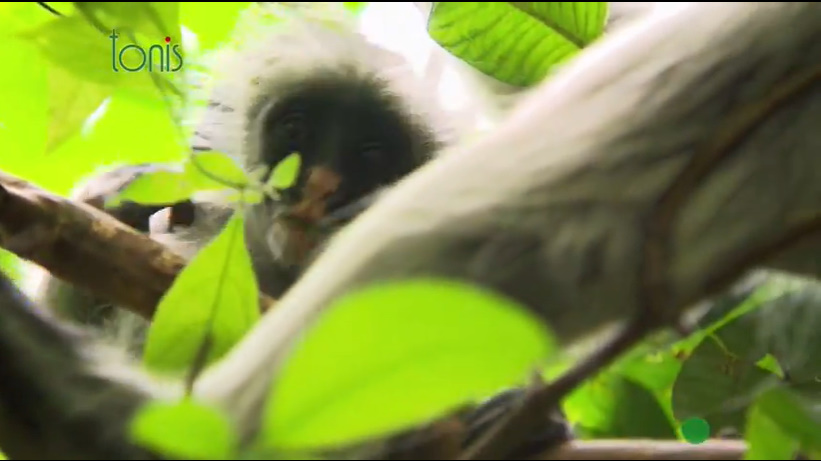 Наші витоки