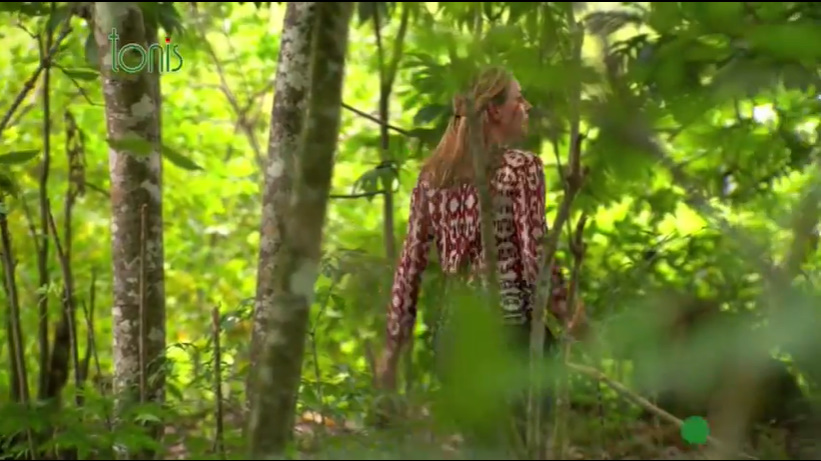 Наші витоки