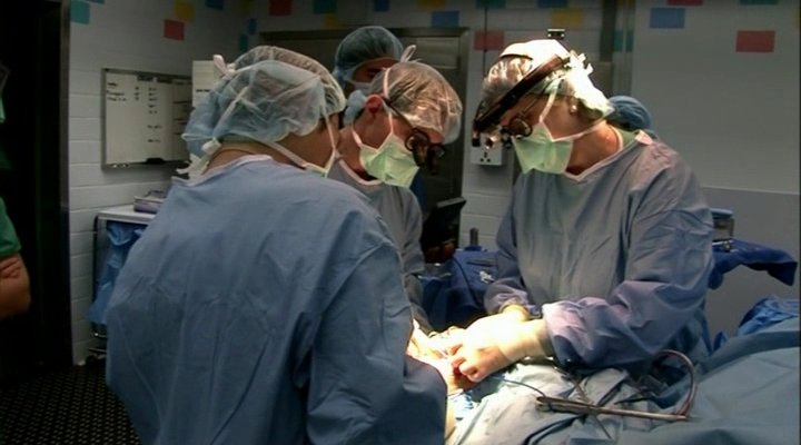 БіБіСі - Боротьба за життя