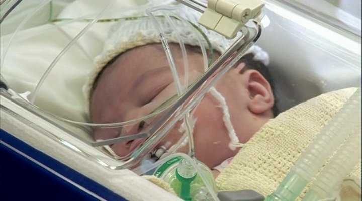 БіБіСі - Боротьба за життя