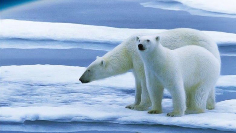 Планета Земля: майбутнє
