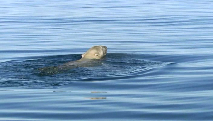 Планета Земля: майбутнє