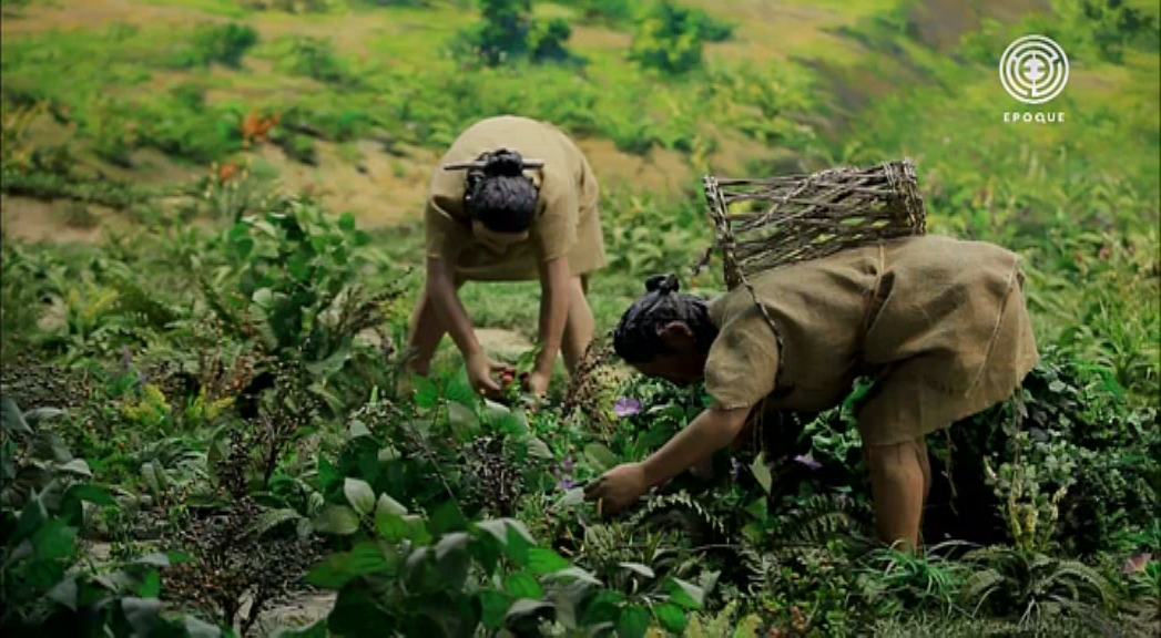 Стародавні цивілізації