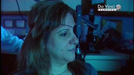 Честолюбні задуми Джеймса Мея