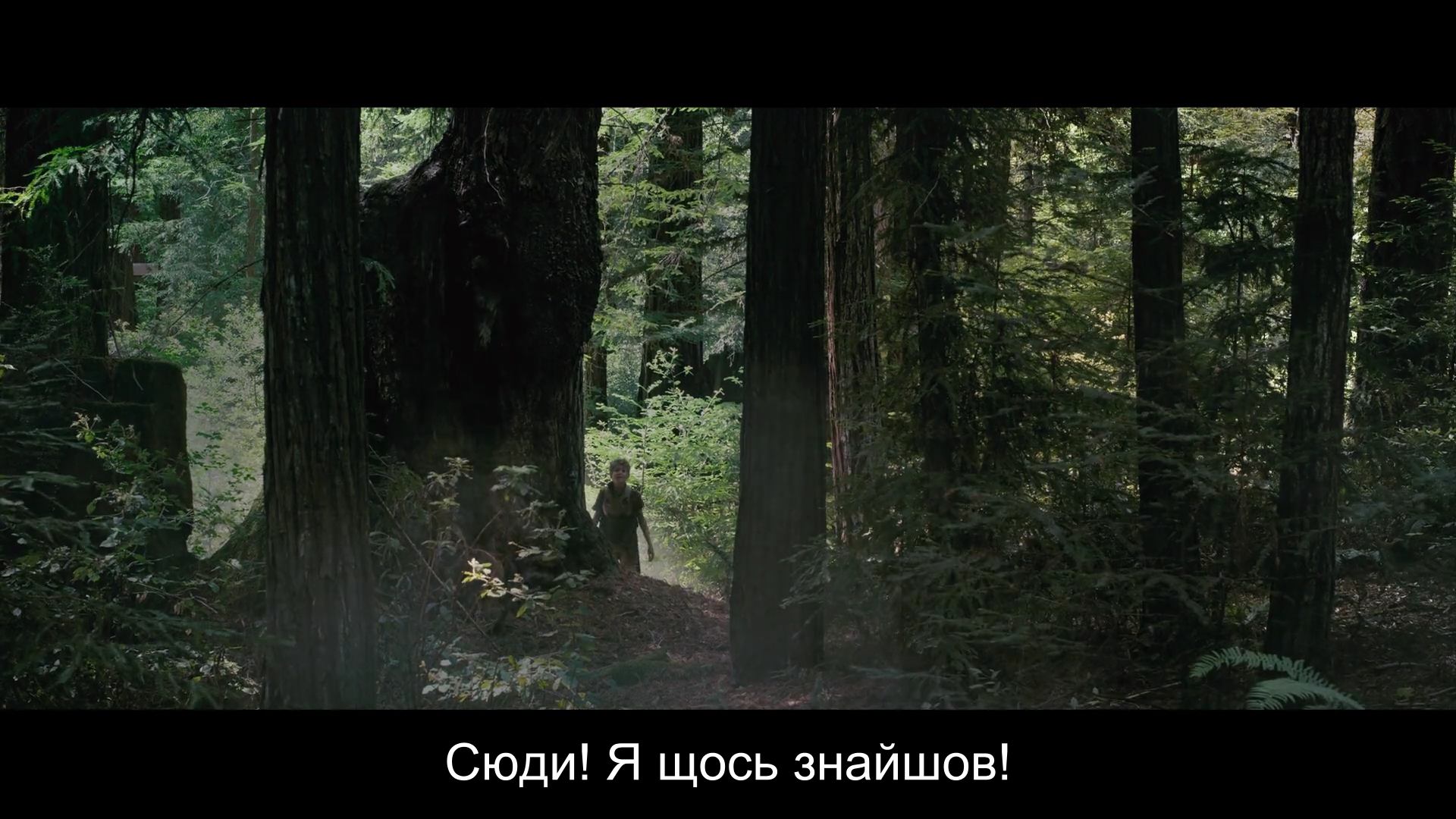 Чатові
