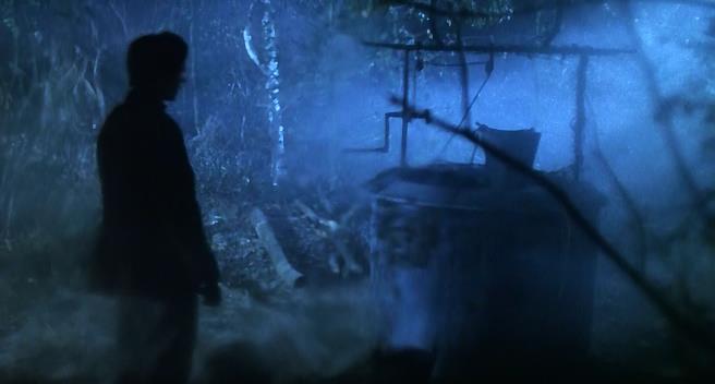 Кіт з людськими руками