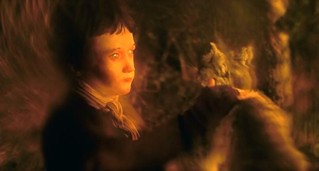 Кіт з людськими руками