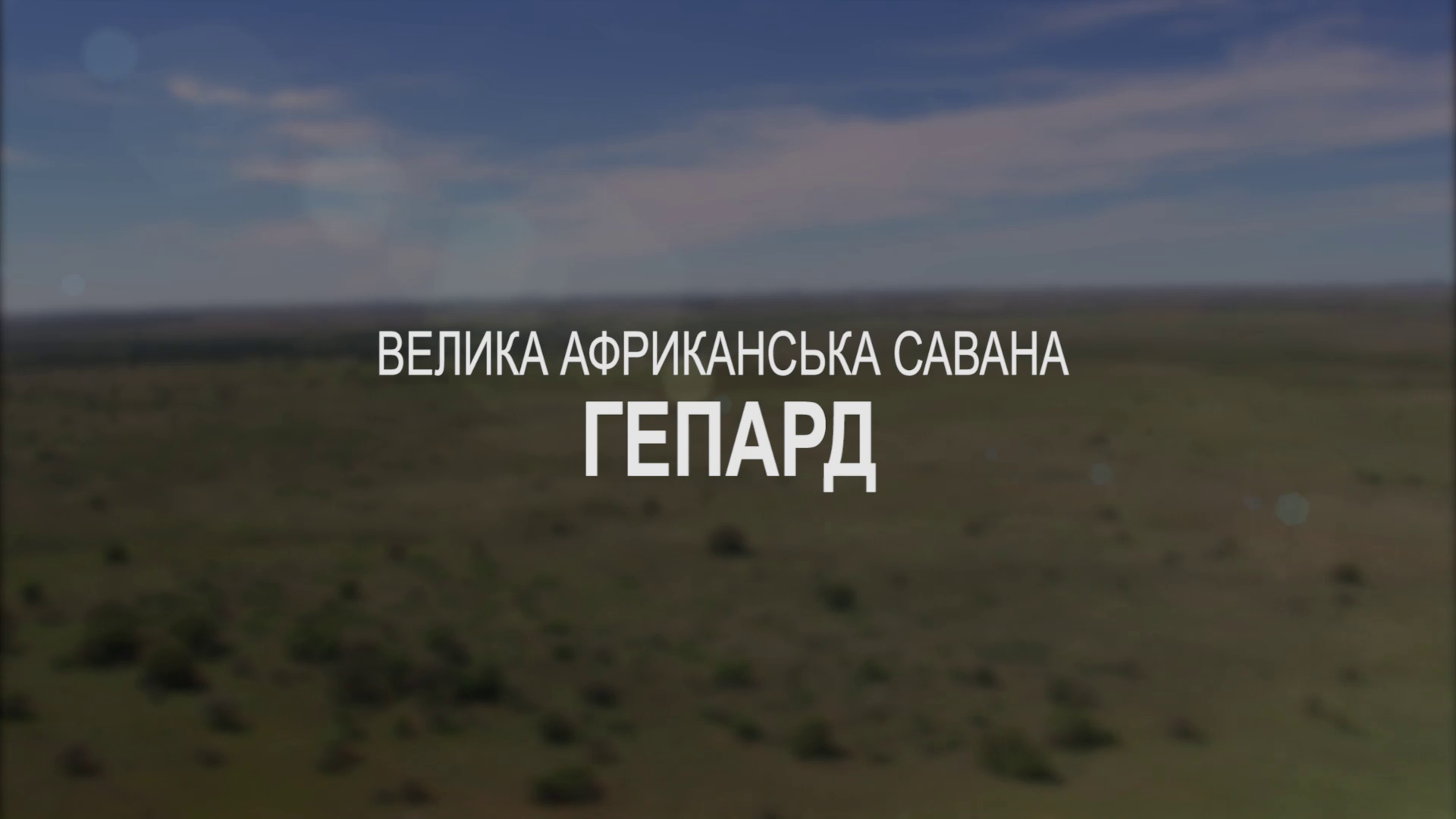Світ дикої природи