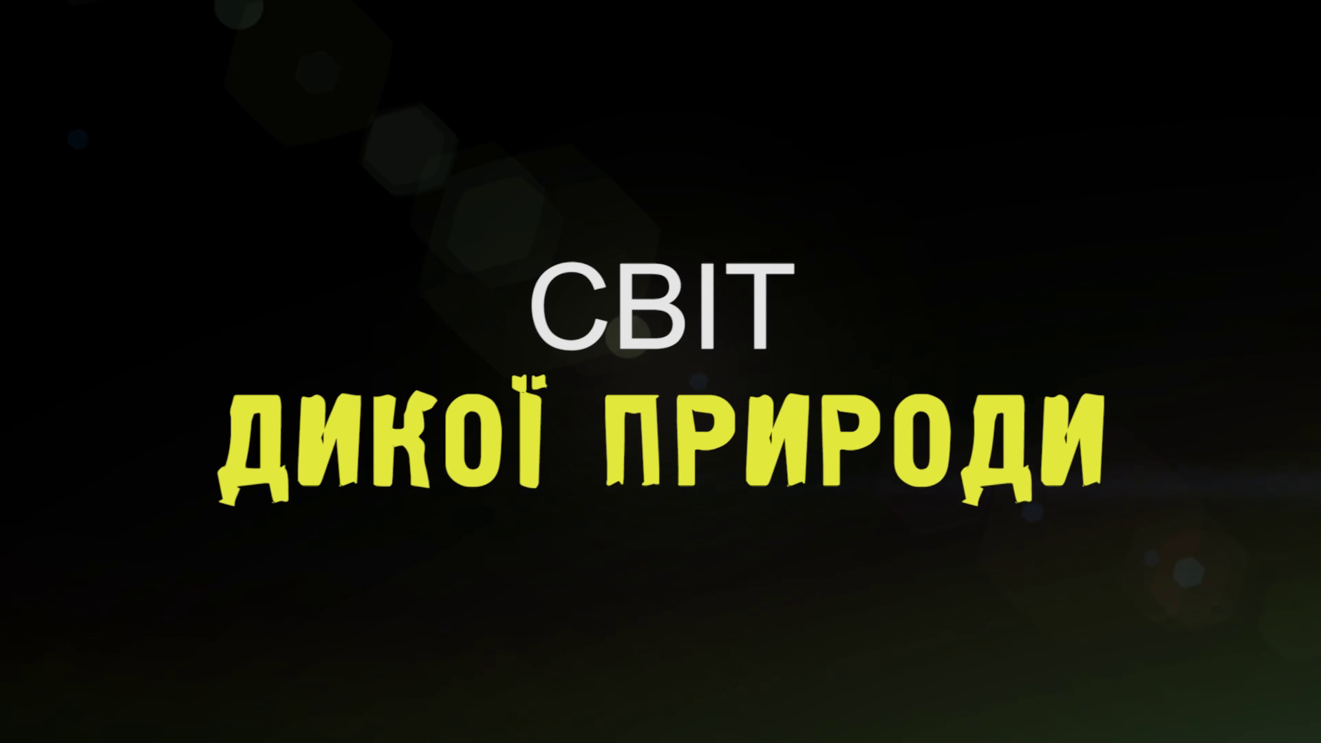 Світ дикої природи