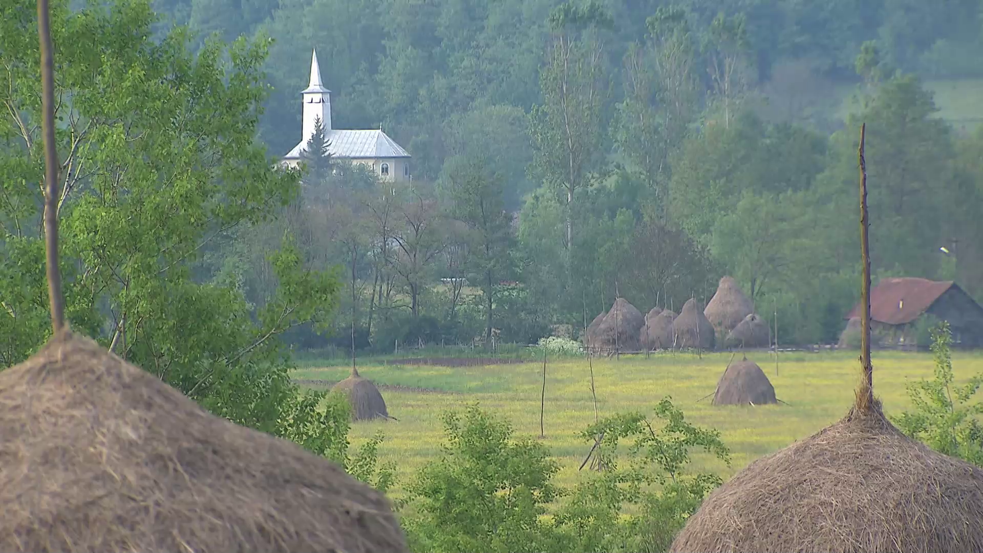 Дикі Карпати