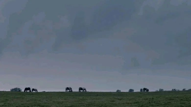 Егоїстичний велетень