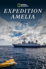 Експедиція «Амелія»